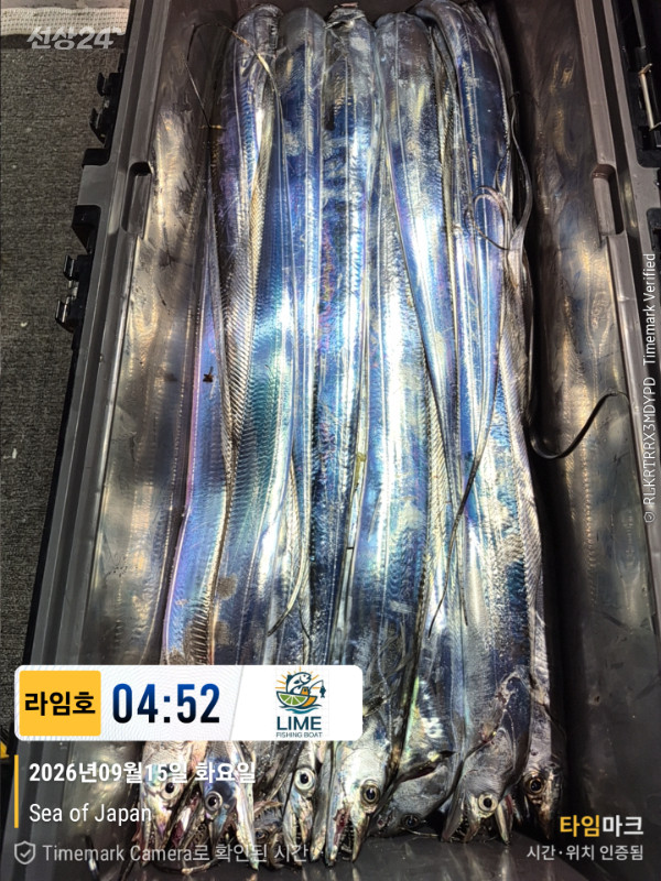 KakaoTalk_20260915_093234679_05.jpg