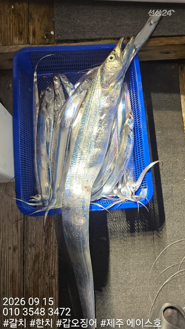 KakaoTalk_20260917_124710136_15.jpg
