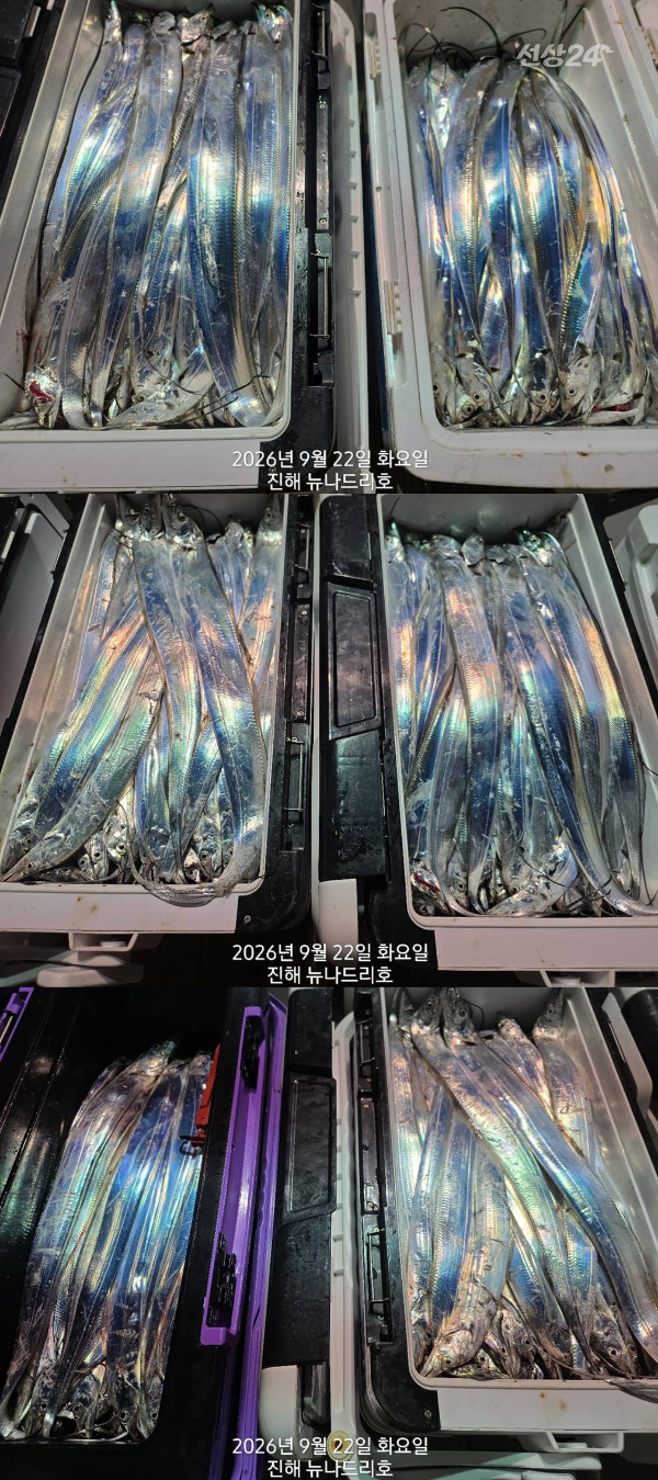 낱1.jpg