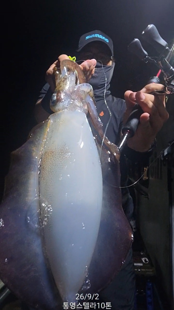 TimeVideo_20260902_233105.jpg