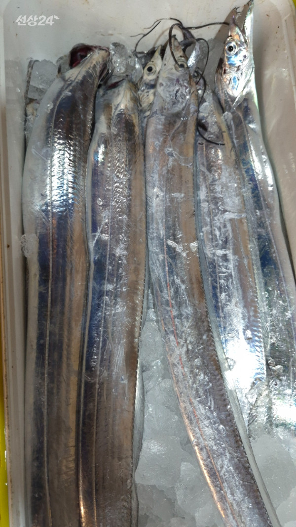 1004피싱_사진_20260924_19.jpg