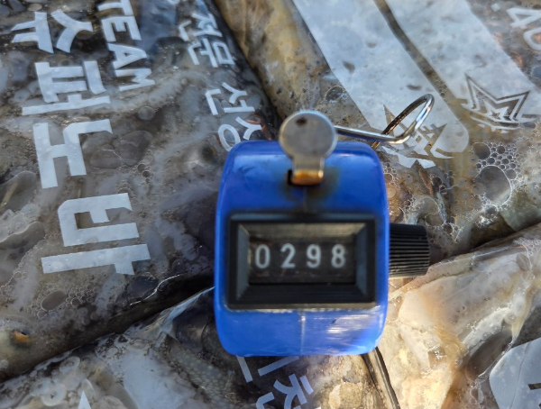 22255.jpg