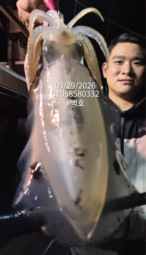 88128.jpg