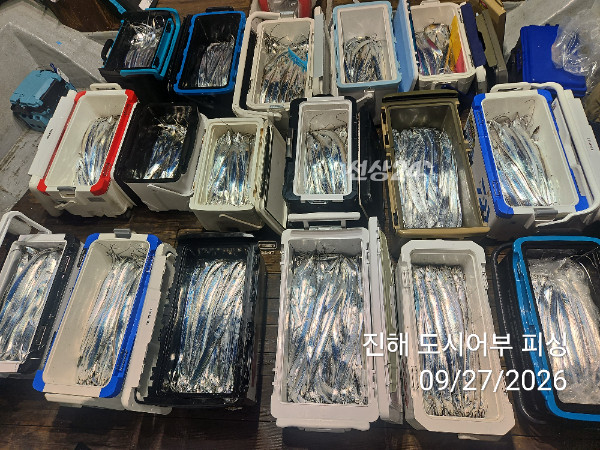 KakaoTalk_20260927_050422422_08.jpg