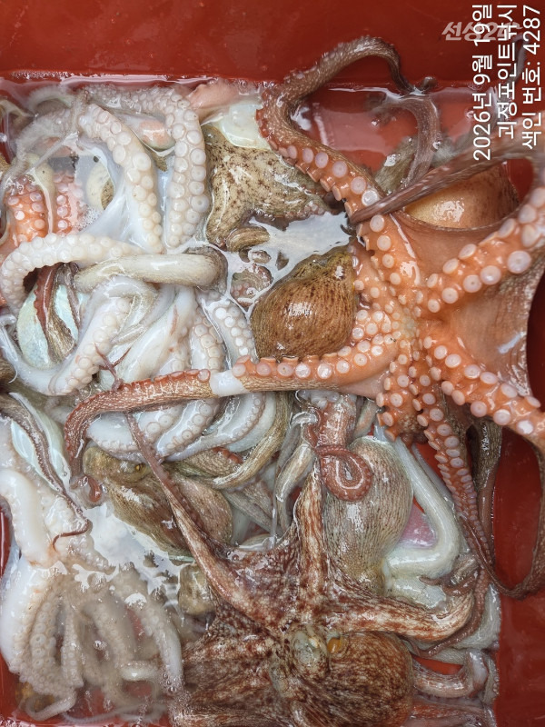 KakaoTalk_20260920_162157469_12.jpg