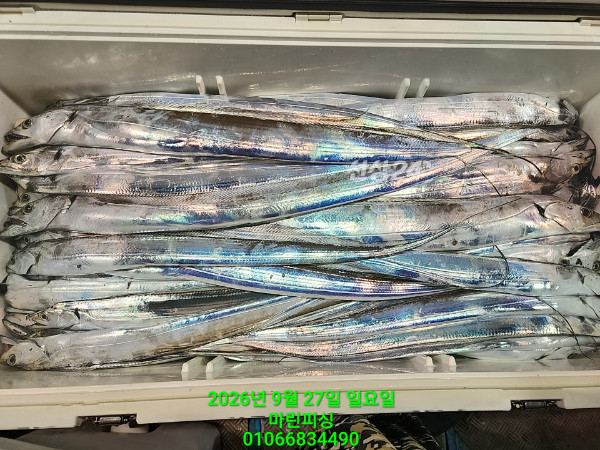 KakaoTalk_20260927_054010328_16.jpg