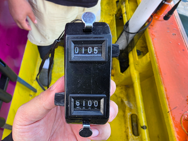 1000022302.jpg