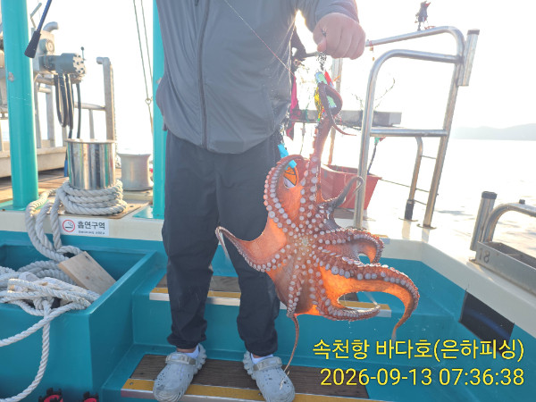 IMG_20260913_073638.jpg
