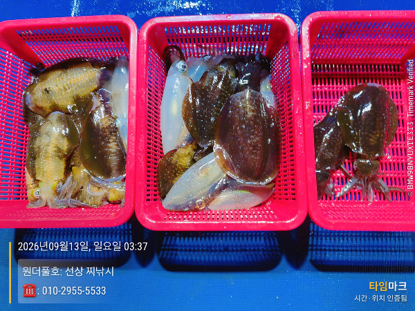 2026-09-13 03.37.35_(원더풀호-선상 찌낚시)_(-010-2955-5533).jpeg