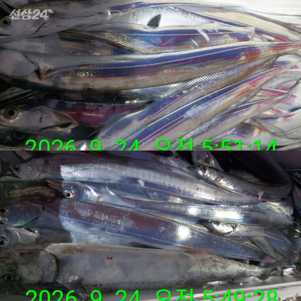1000086442.jpg