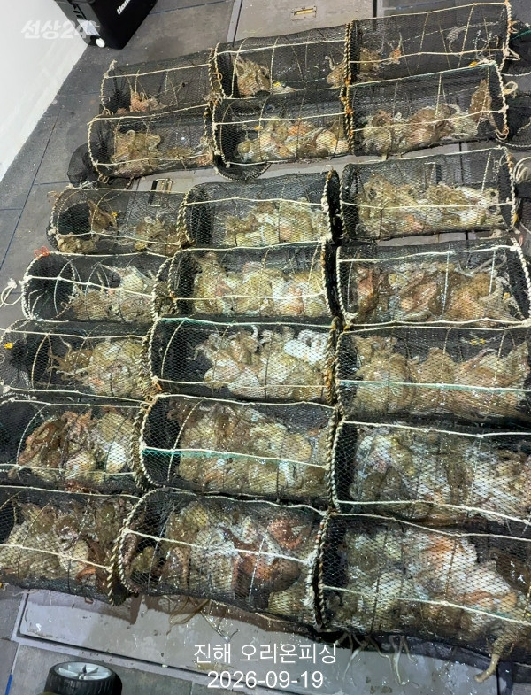 KakaoTalk_20260920_072609070.jpg