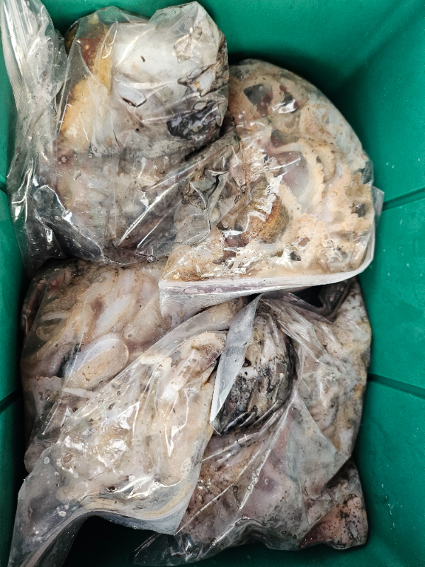 1000073425.jpg