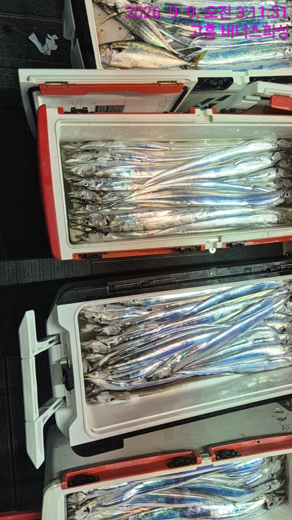 1000055677.jpg