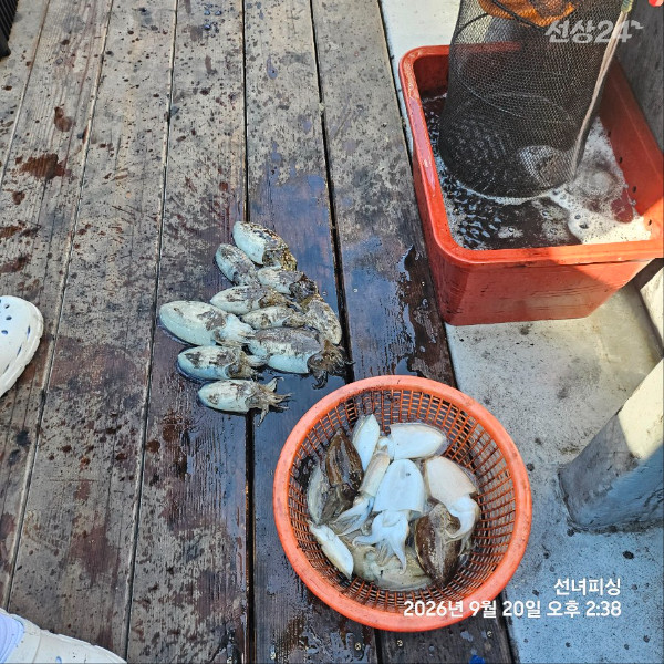 KakaoTalk_20260920_182836968_09.jpg