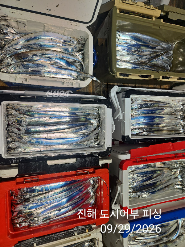 KakaoTalk_20260929_052220398_11.jpg