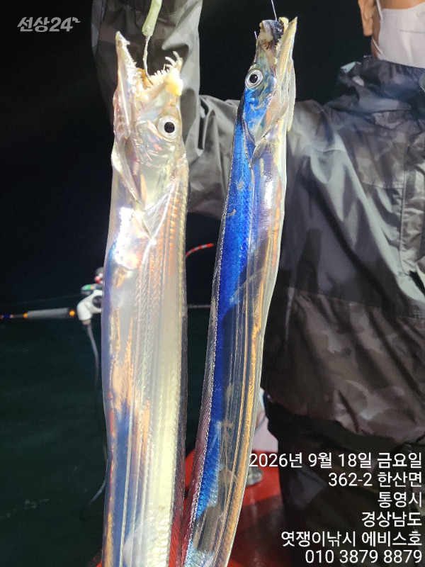 70174.jpg