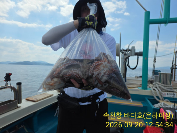 IMG_20260920_125434.jpg