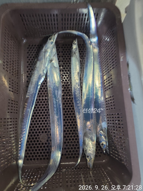 0304FDDC-38B3-4AE4-A1B5-F13BABCF6D82.jpeg