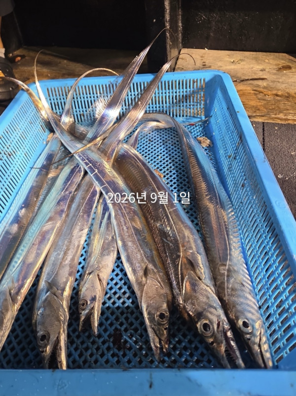 F97161E8-314D-41EA-A71E-BFD628C779A9.jpeg
