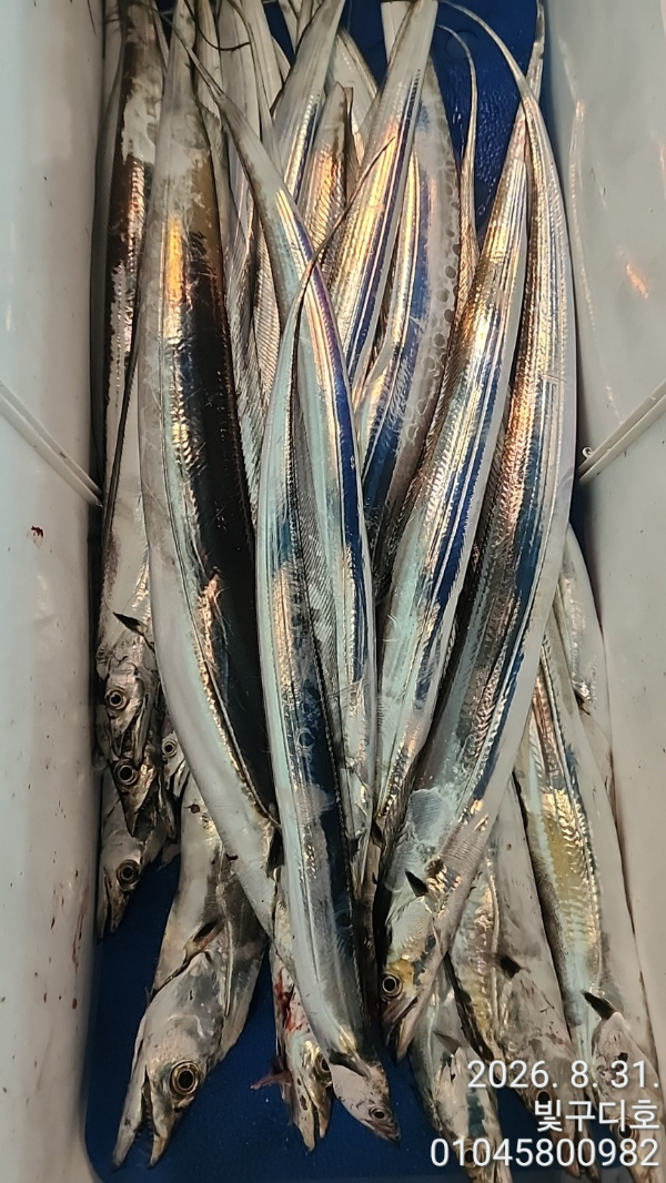 9984.jpg