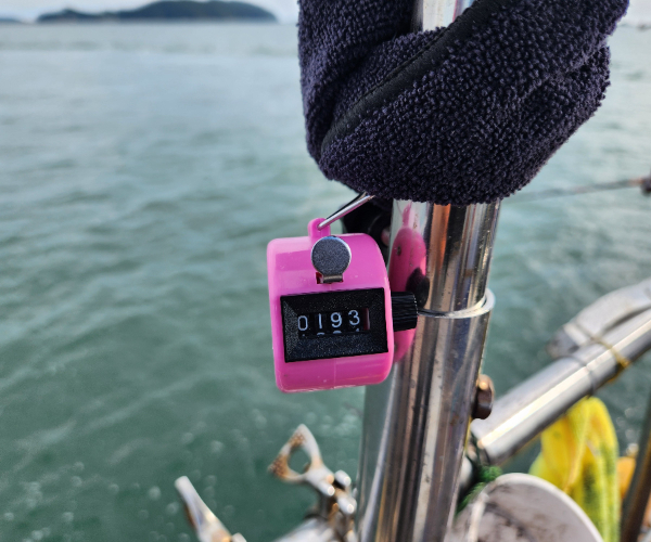 20260903_160848.jpg