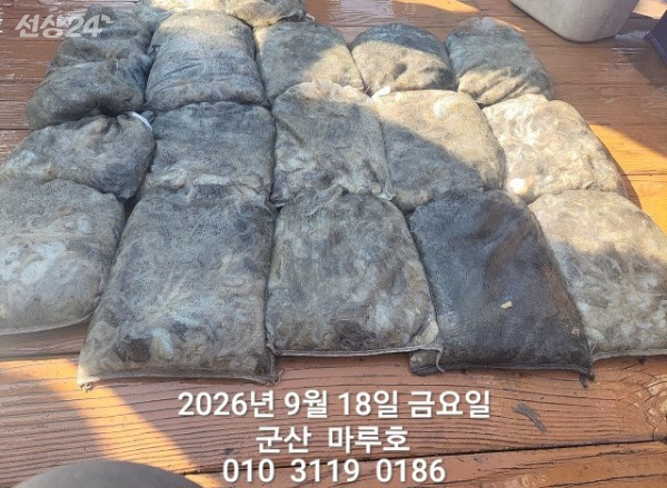 KakaoTalk_20260918_162354555_01.jpg