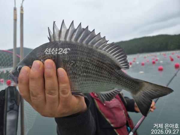 1000039246.jpg