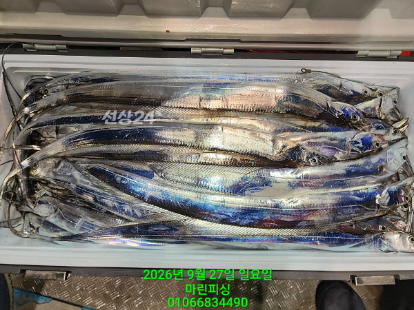 KakaoTalk_20260927_054010328_29.jpg