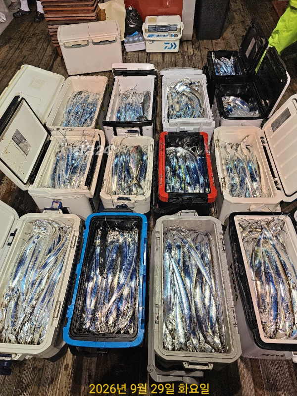 FFAA8F1D-C606-42E9-8E51-195CE4589774.jpeg