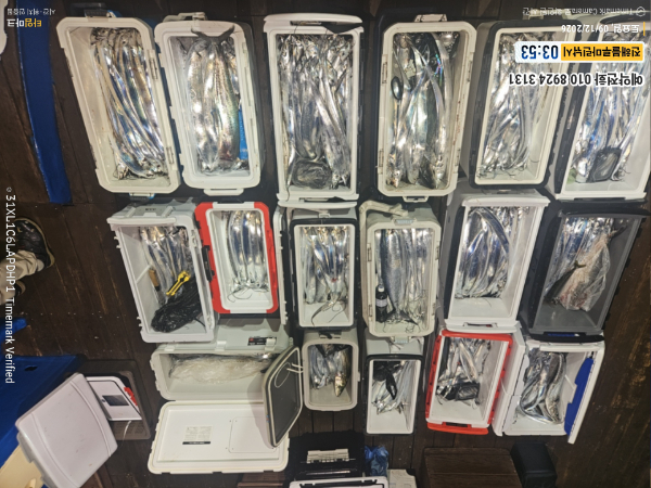 2026-09-12 03.53.12__(제목-진해블루마린낚시)_(예약전화 010 8924 3131).jpg