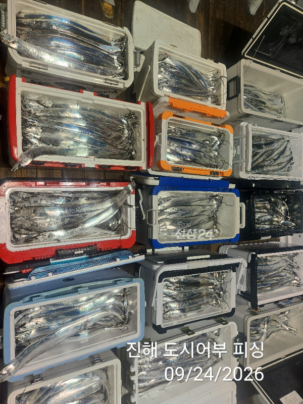 KakaoTalk_20260924_050456578_07.jpg