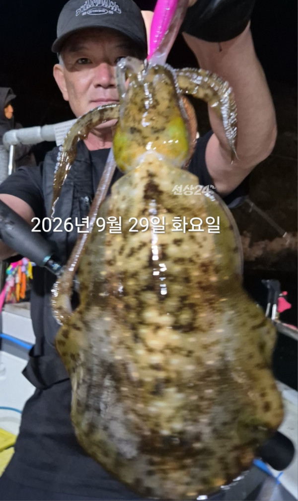 88134.jpg