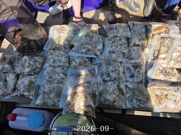 [꾸미기]1788503671421.jpg