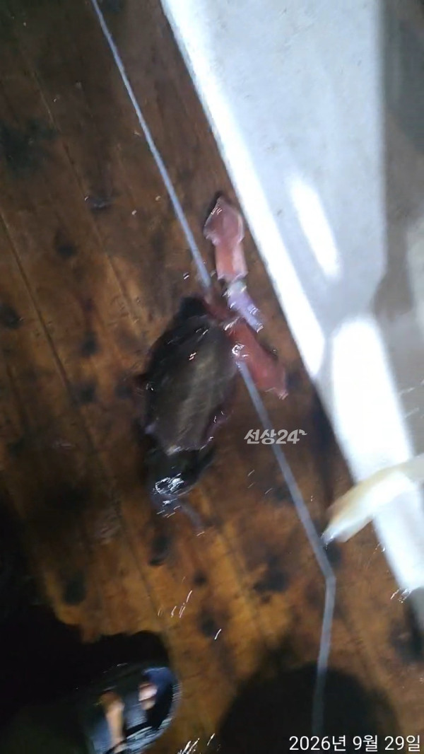 TimeVideo_20260929_015246.jpg