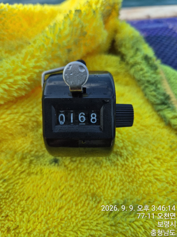 1788947203346.jpg