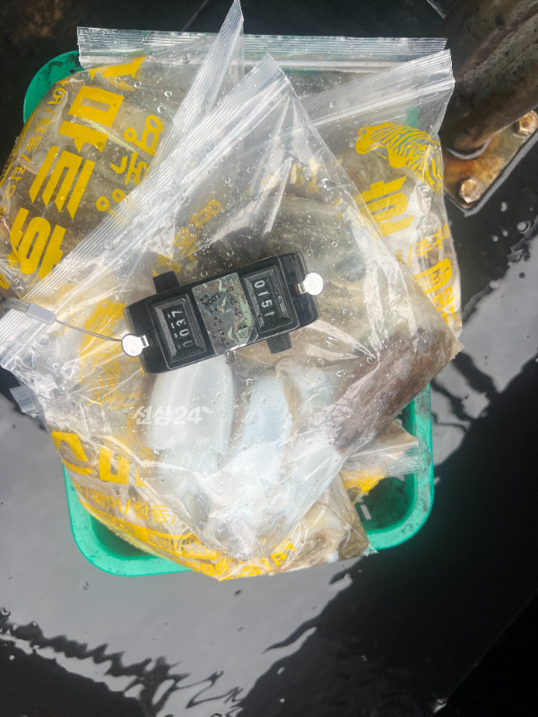 KakaoTalk_20260924_172314773_14.jpg