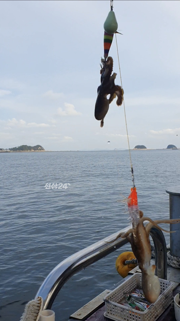 Screenshot_20260924_143712_Video Player.jpg