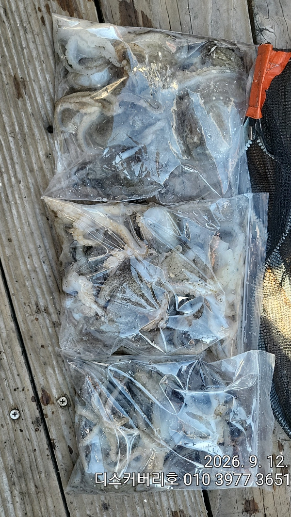 1000027135.jpg