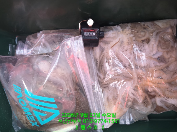 군산 선상낚시, 바다낚시 출조 전문 ☆서군산낚시☆_사진_20260923_7.jpg