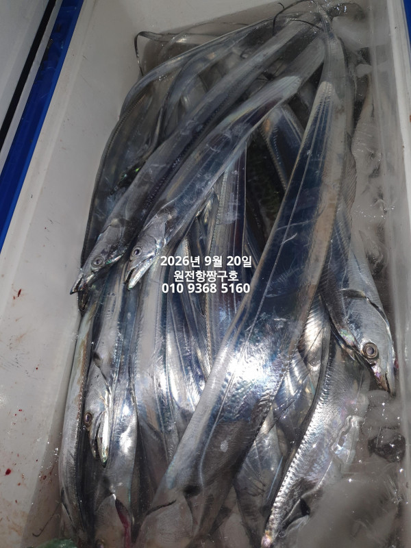 KakaoTalk_20260920_043734565.jpg
