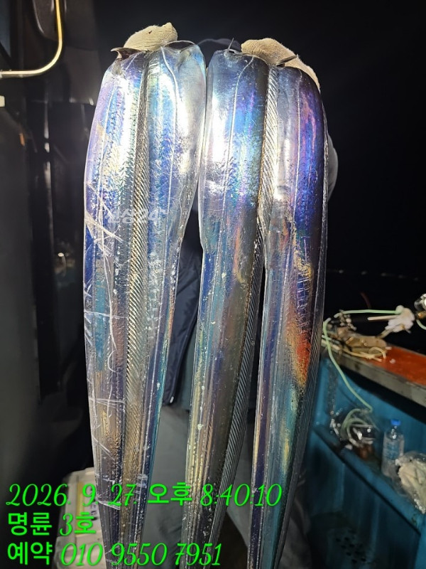 KakaoTalk_20260928_072258877.jpg