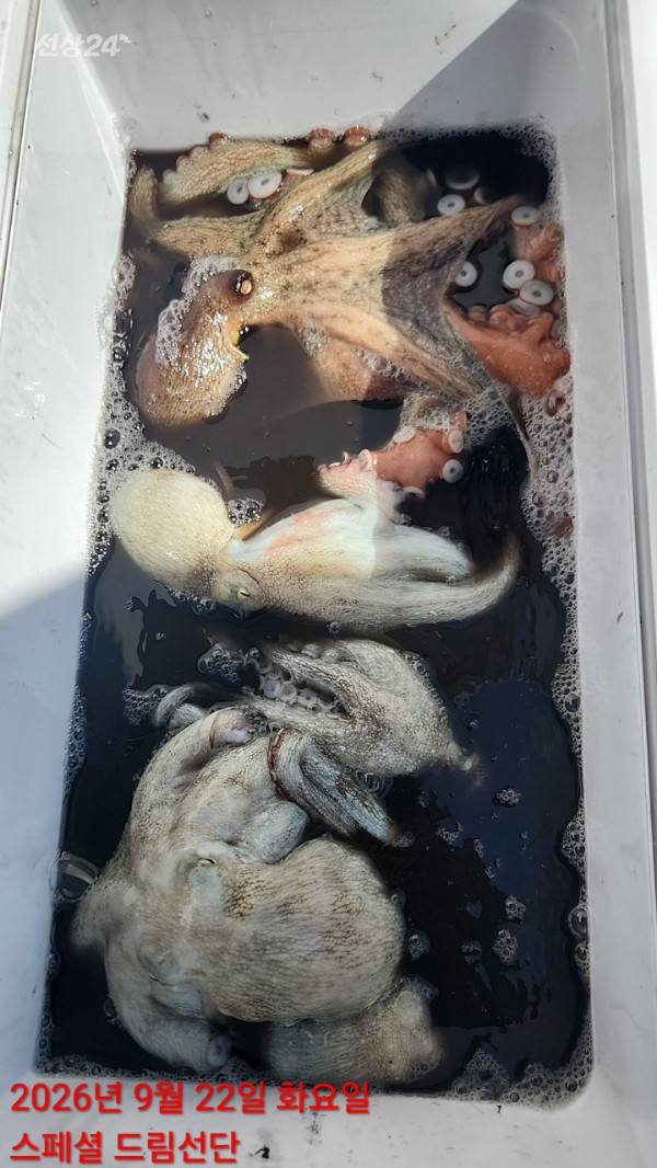 쎄븐피싱클럽(선상 버스출조전문)_사진_20260922_2.jpg