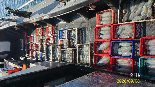41510.jpg