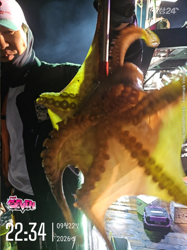 d_d60Ud018svceubax48ylhaj_82sd02.jpg