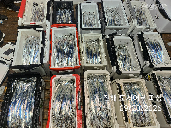 KakaoTalk_20260920_052035482_12.jpg