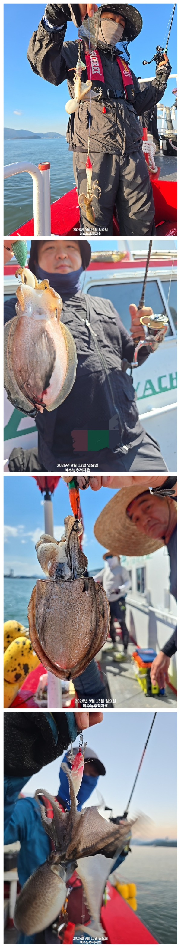 33609.jpg