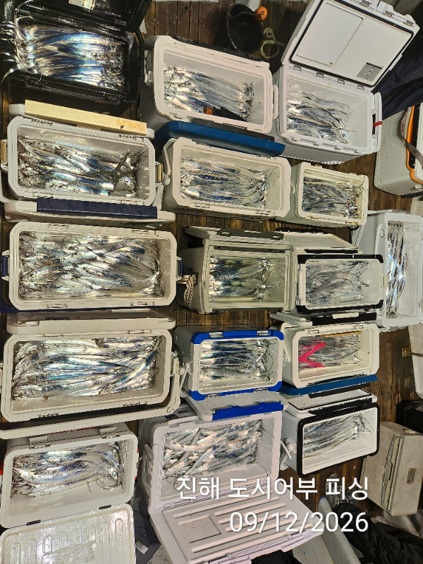 KakaoTalk_20260912_055008502_09.jpg
