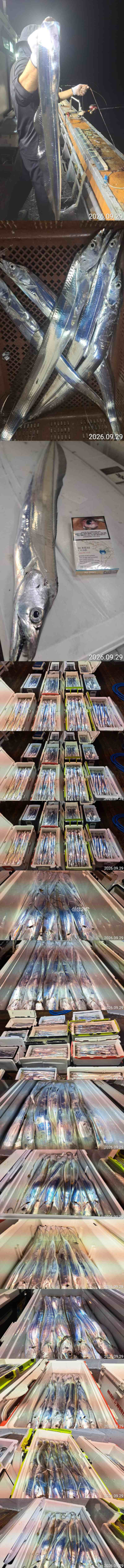 2222.jpg