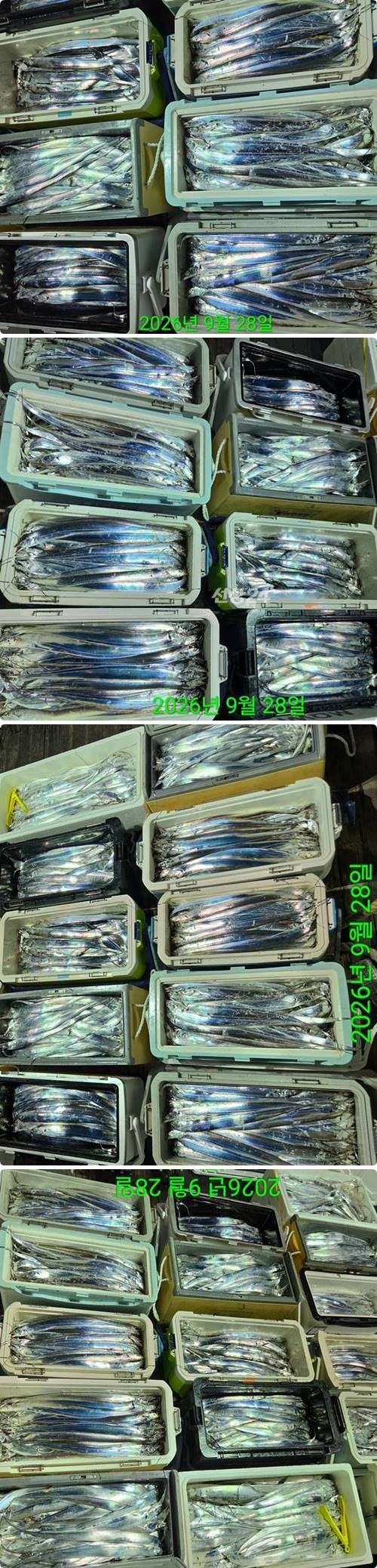28일부하2.jpg
