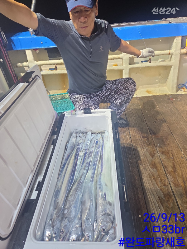 완도파랑새호(블루버드)_사진_20260913_4.jpg